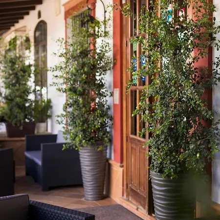 Rural La Fonda Del Rocio Pensión