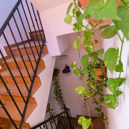 Maison d'hôtes Rural La Fonda Del Rocio